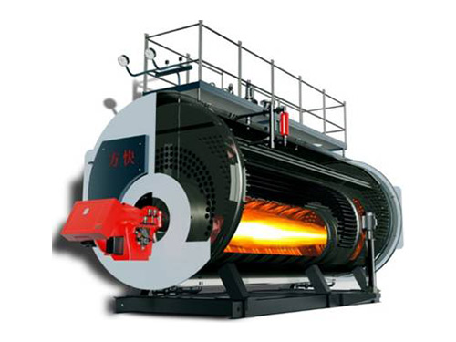 Gas fired boiler
